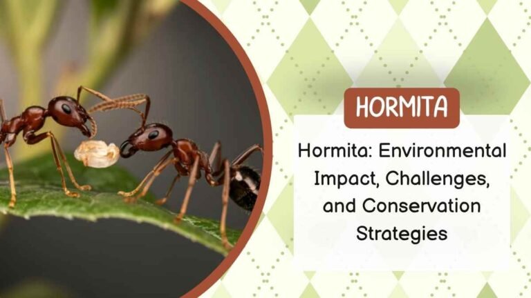 Hormita Environmental Impact, Challenges, and Conservation Strategies